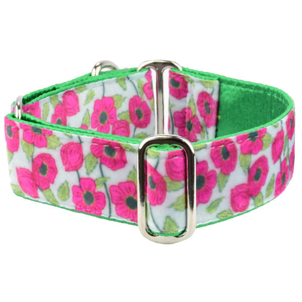 Bold Poppies Elite Velvet Martingale Dog Collar, photo 2