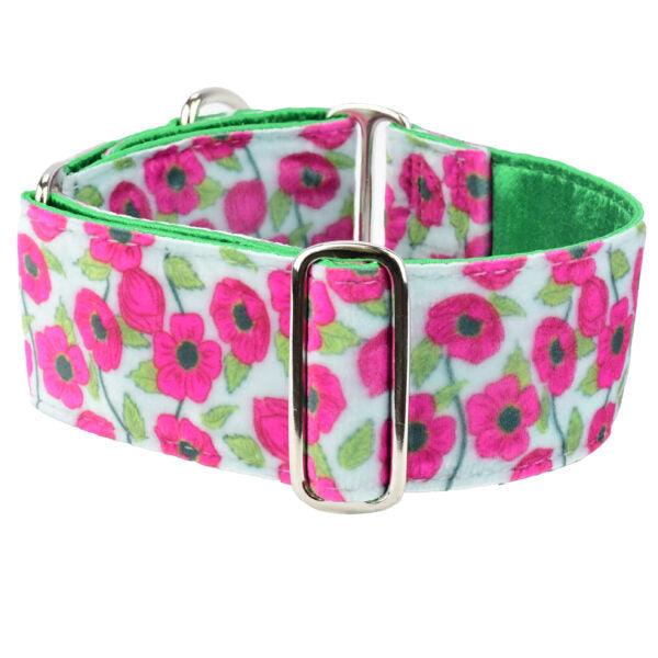 Bold Poppies Elite Velvet Martingale Dog Collar, photo 1