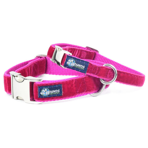 Raspberry Velvet Essential Buckle Martingale Dog Collar, photo 1