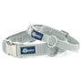 Silver Velvet Essential Martingale Dog Collar, photo 1
