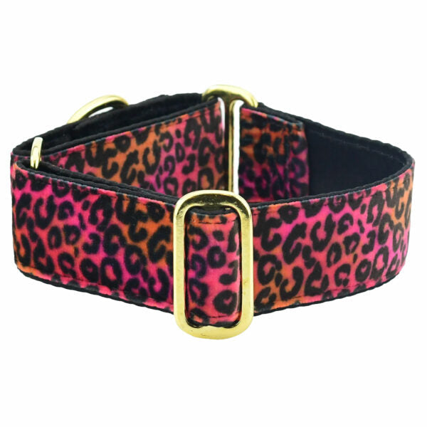 Wild Kitty Pink Elite Velvet Martingale Dog Collar, photo 1