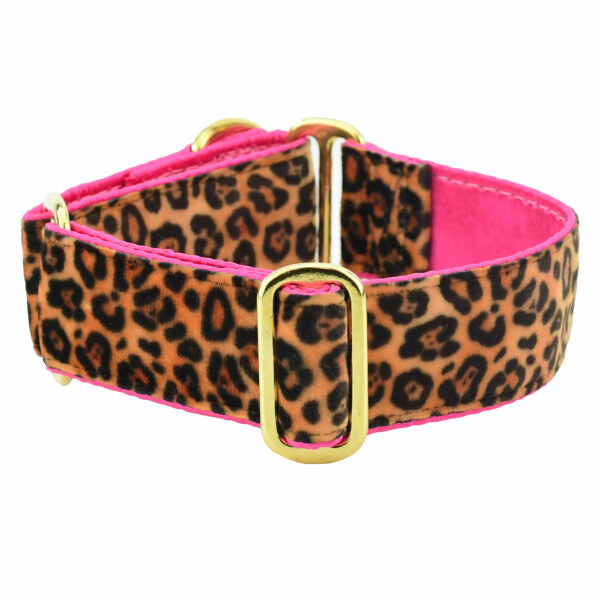 Soft Kitty Elite Velvet Martingale Dog Collar, photo 1