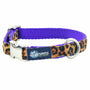 Soft Kitty Velvet Essential Martingale Dog Collar, photo 2