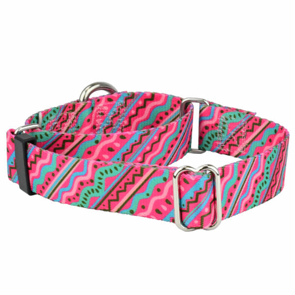 Collar martingala para perro 1980's EarthStyle, foto 1