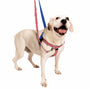 Arnés antitirones para perro Freedom No-Pull Star Spangled EarthStyle, foto 5