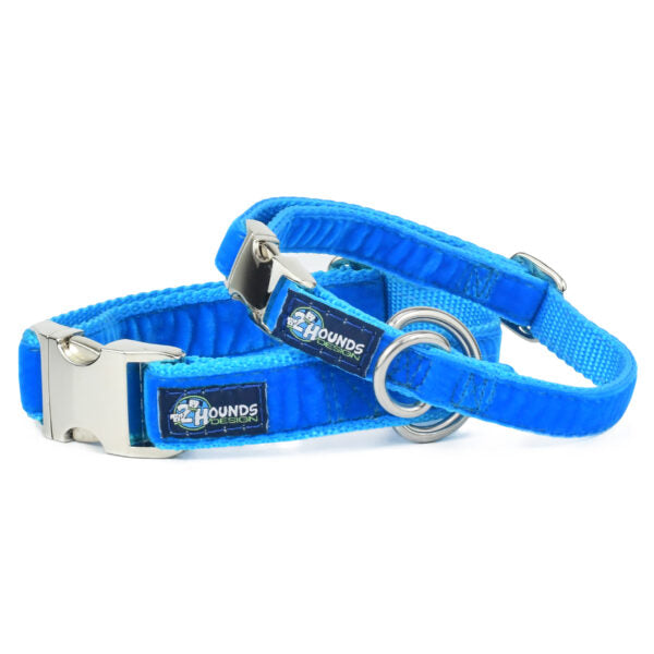 Venetian Blue Velvet Essential Martingale Dog Collar, photo 1