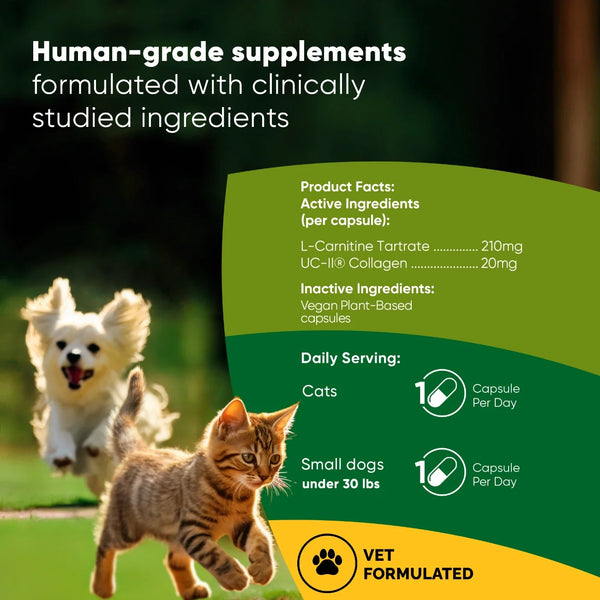 Cápsulas para la salud articular y muscular con colágeno UC-II y L-carnitina para gato y perro pequeño, foto 2