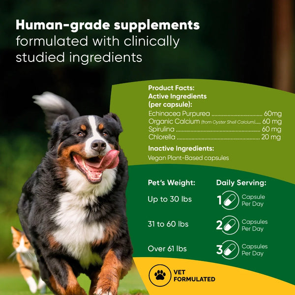 Cápsulas de espirulina y chlorella para perro y gato, foto 2