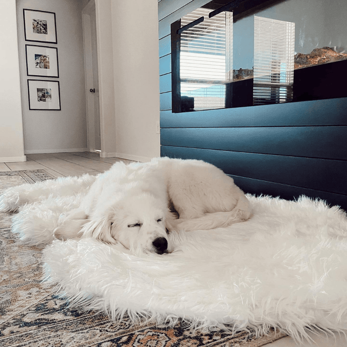 PupRug Curve Faux Fur Orthopedic Dog Bed, Polar White, photo 8