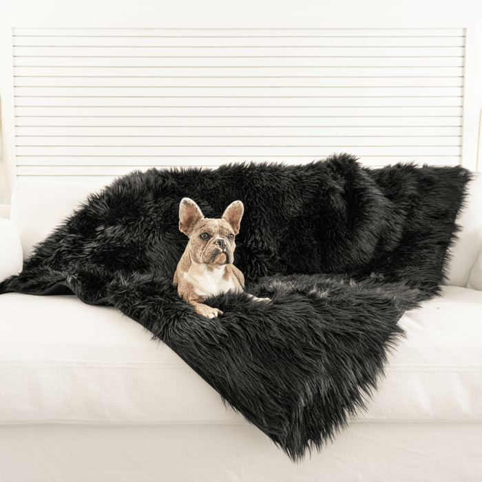PupProtector Waterproof Throw Blanket, Midnight Black, photo 4