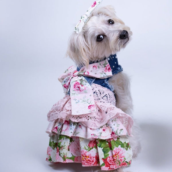 LovePackPuppy Dress, photo 2