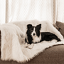 PupProtector Waterproof Throw Blanket, Polar White, photo 5