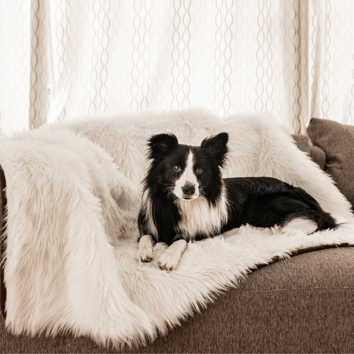 PupProtector Waterproof Throw Blanket, Polar White, photo 5