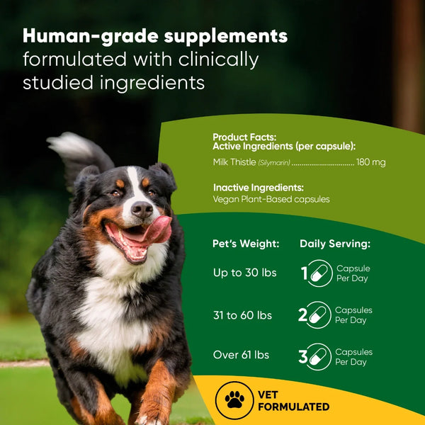 Liver Support Capsules with Milk Thistle for Dogs, photo 2