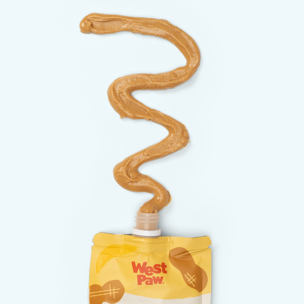 Peanut Butter and Banana Creamy Dog Treat, photo 2