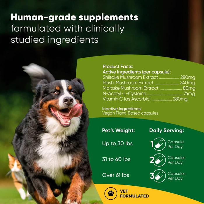 Mushroom Immune Support Capsules with Reishi, Shiitake and Maitake for Dogs and Cats, photo 2