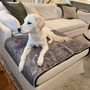 Piecera impermeable PupProtector Luxe, chinchilla ultrasuave, foto 6