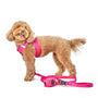 Park Ave Pink City Bungee Dog Leash, photo 4