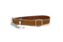 Martingale Leather Dog Collar, photo 16