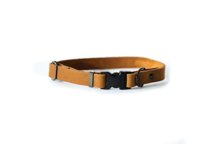 Sport Leather Dog Collar, photo 11