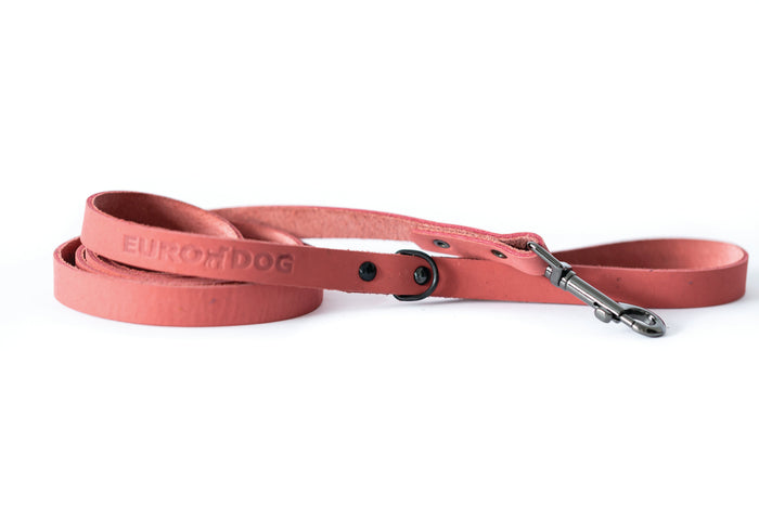 Sport Leather Dog Leash, photo 4