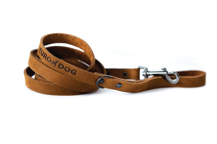 Sport Leather Dog Leash, photo 2