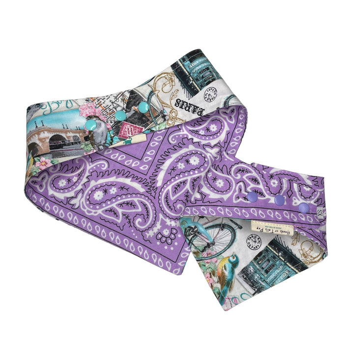 Bandana para perro Reversible Paris - Pink/Purple, foto 3