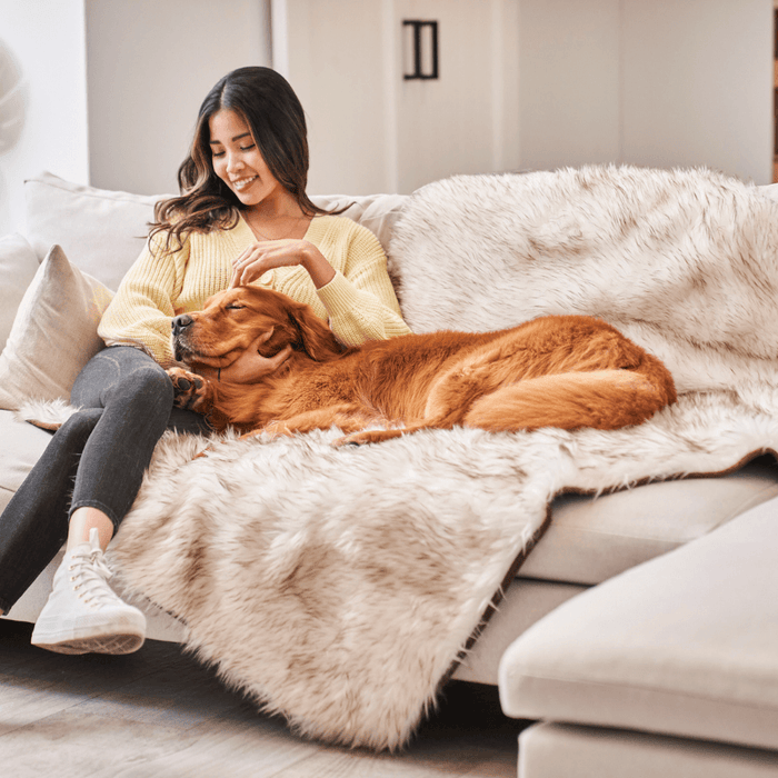 Manta impermeable PupProtector, blanco con detalles marrones, foto 3