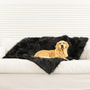 PupProtector Waterproof Throw Blanket, Midnight Black, photo 3