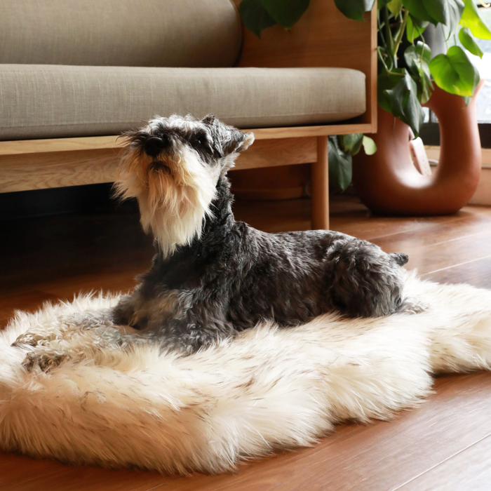 PupRug Curve Faux Fur Orthopedic Dog Bed, White with Brown Accents, photo 8