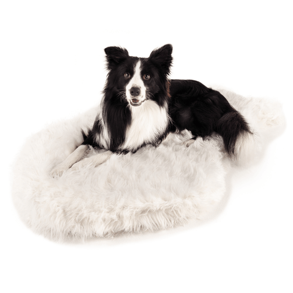Cama ortopédica PupRug Curve de piel sintética para perro, blanco polar