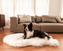 PupRug Curve Faux Fur Orthopedic Dog Bed, Polar White, photo 2