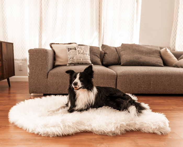 PupRug Curve Faux Fur Orthopedic Dog Bed, Polar White, photo 2