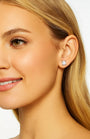 Half Carat Princess Cut Cubic Zirconia Stud Earrings, photo 4