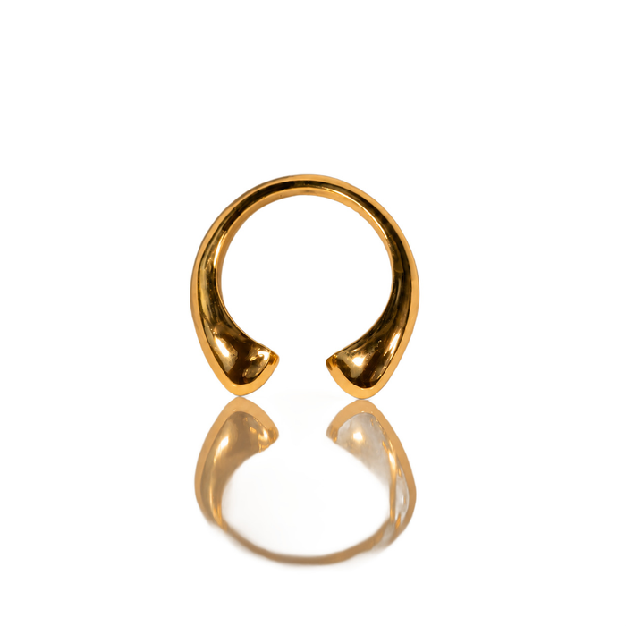 Double Drip Ring, photo 1