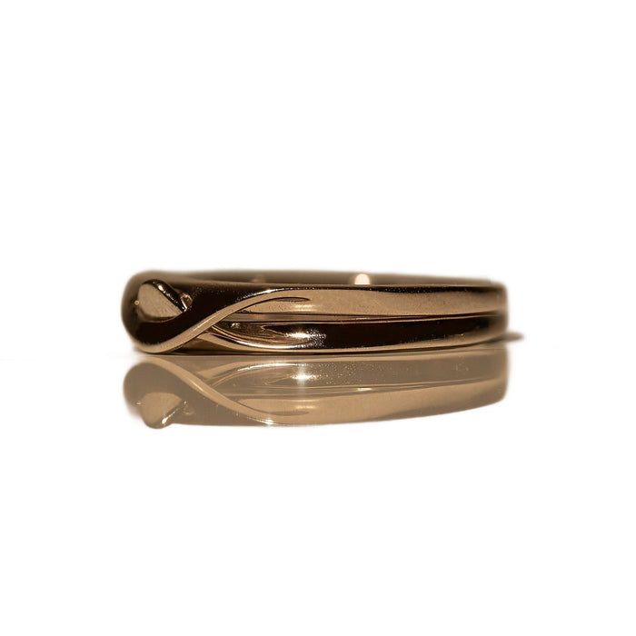 Interlocking Ring, photo 1