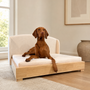 Vizsla lying on the Haven hardwood dog bed in cream in a bright living room