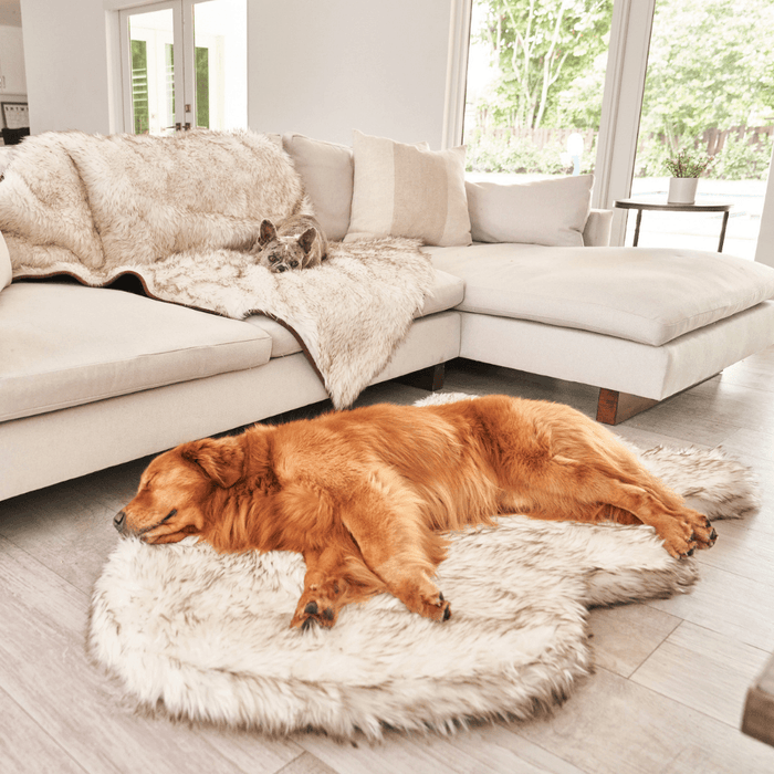 PupRug Curve Faux Fur Orthopedic Dog Bed, White with Brown Accents, photo 13