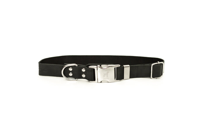 Collar de piel Modern con broche rápido para perro, foto 5