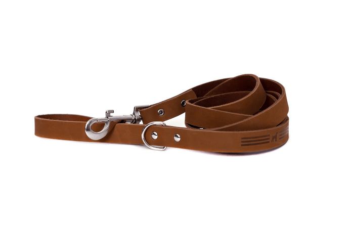 Modern Leather Dog Leash, photo 3