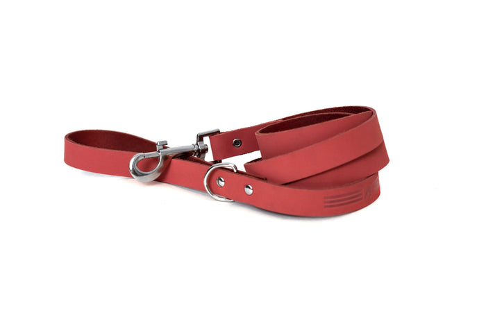 Modern Leather Dog Leash, photo 5