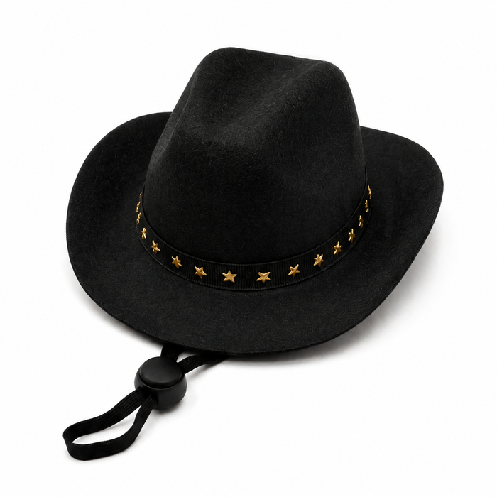 Cowboy Hat, photo 6