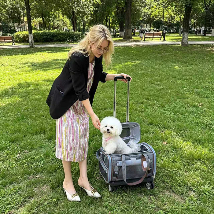 Transportadora expandible para mascotas Gold Series Mini V3, foto 18