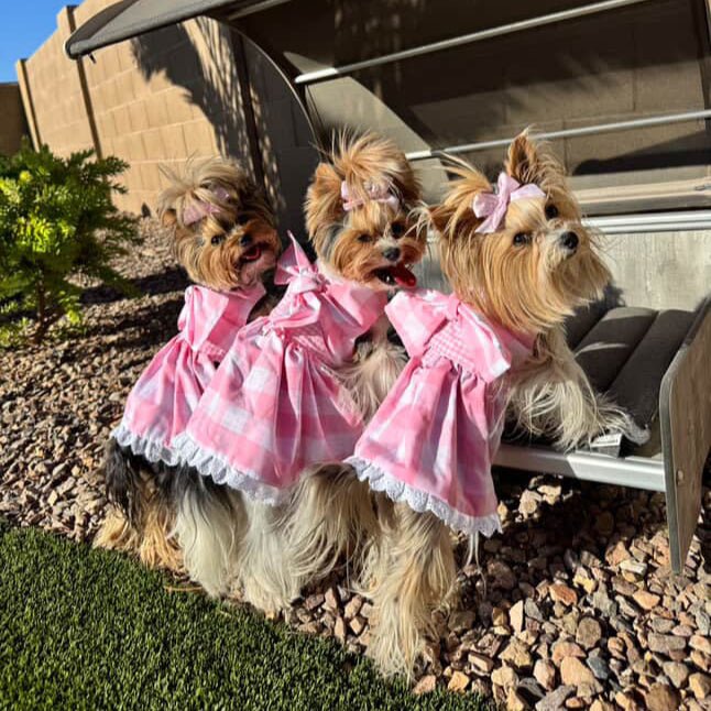 Gingham Picnic Dress, photo 6