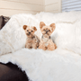 PupProtector Waterproof Throw Blanket, Polar White, photo 6