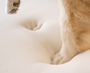 PupRug Curve Faux Fur Orthopedic Dog Bed, White with Brown Accents, photo 7