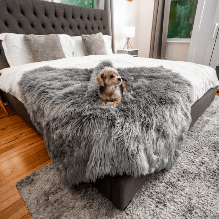 Manta impermeable PupProtector, gris carbón, foto 3