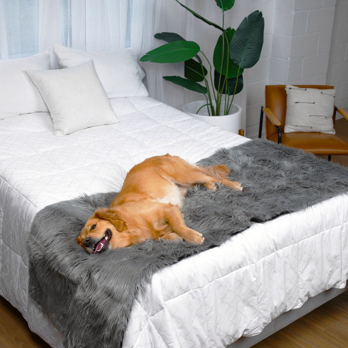 Piecera impermeable PupProtector, gris carbón, foto 5