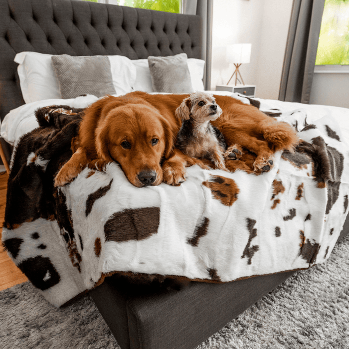 PupProtector Waterproof Throw Blanket, Brown Faux Cowhide, photo 3