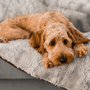 PupProtector Summer Short Fur Waterproof Throw Blanket, Grey, photo 10